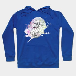 Dachshund Color Splash Hoodie